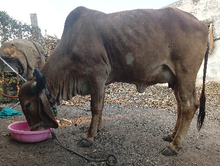 थंबनेल 2