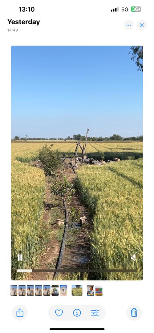 થંબનેલ 3