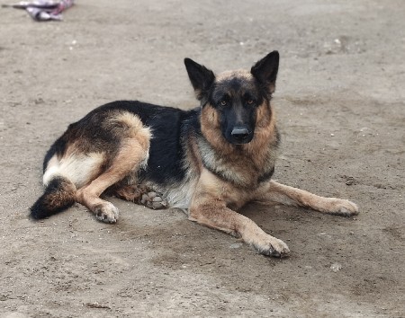 थंबनेल 2