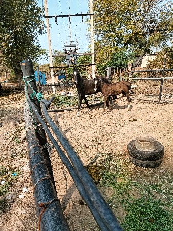 થંબનેલ 3