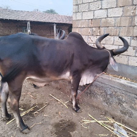 थंबनेल 2