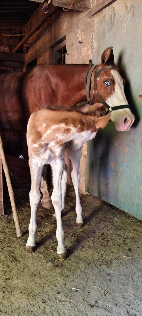 थंबनेल 3