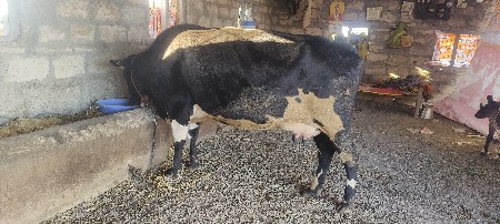 थंबनेल 3