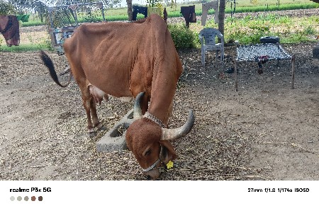 थंबनेल 3