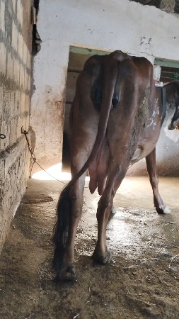 थंबनेल 3