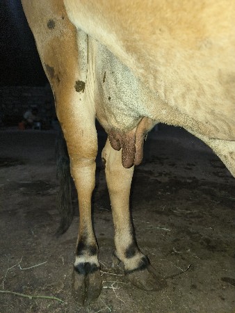 થંબનેલ 3