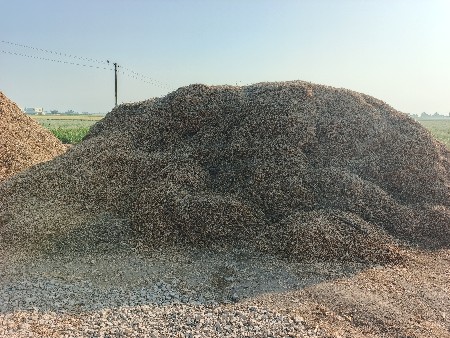 માંડવી નો ભૂકો