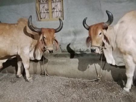 थंबनेल 3