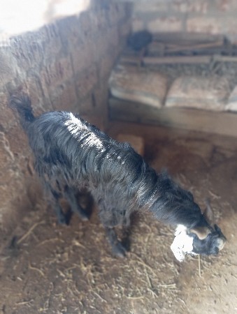 थंबनेल 2