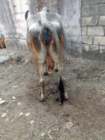 थंबनेल 2