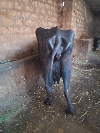 थंबनेल 6