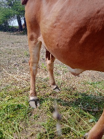 थंबनेल 3