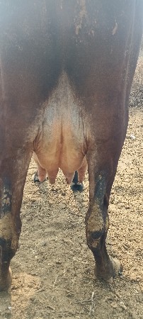 थंबनेल 3