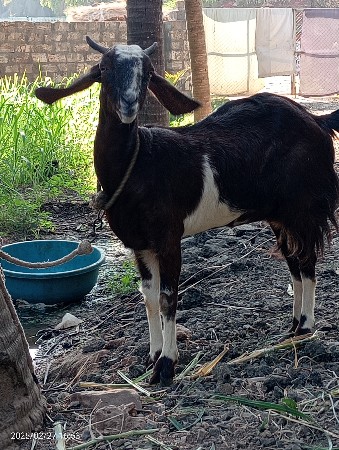 थंबनेल 2