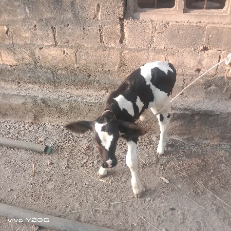 થંબનેલ 3