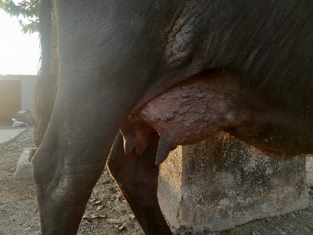 थंबनेल 2