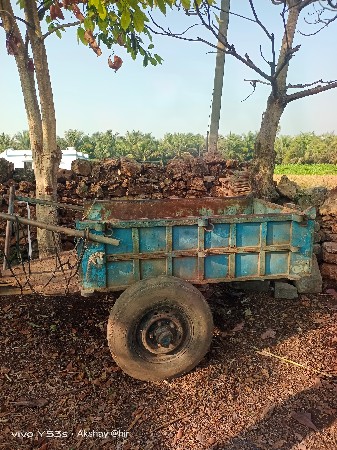 બળદ ગાડું વેચવાનુ છે
