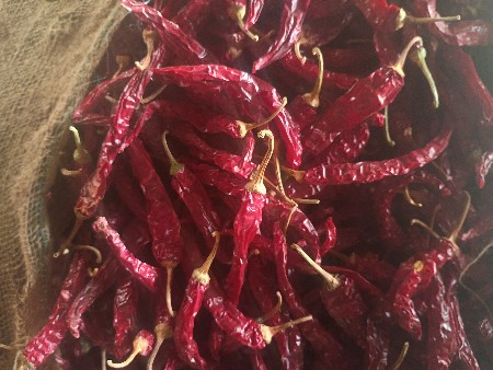 marcha vechava na che