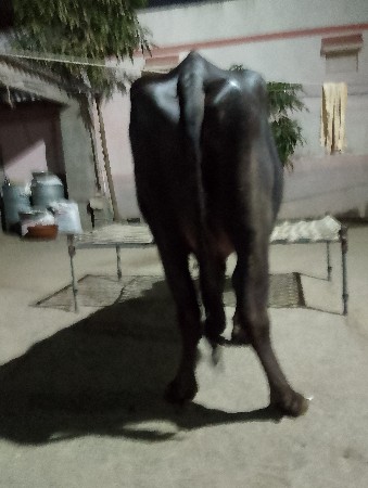 थंबनेल 3