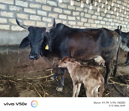 थंबनेल 3