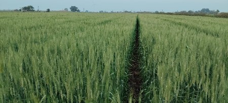 તાલુકો ભાણવડ ગામ મોરઝર