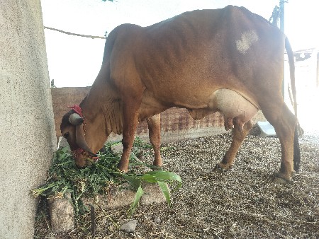 थंबनेल 3