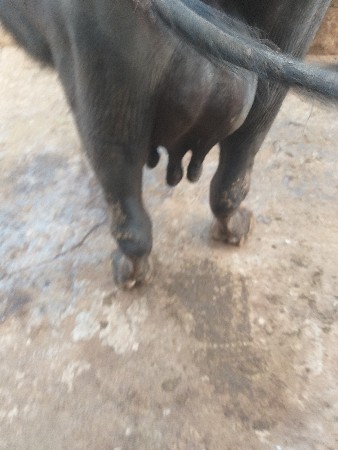 थंबनेल 2