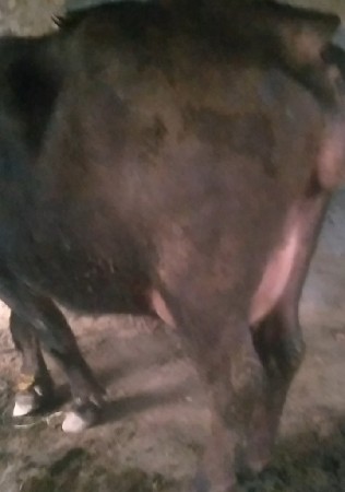 थंबनेल 3