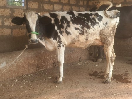 थंबनेल 3