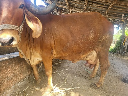 थंबनेल 2