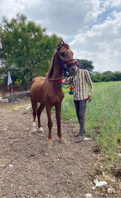 थंबनेल 2