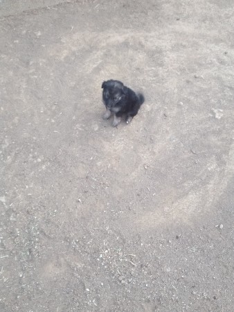 थंबनेल 2