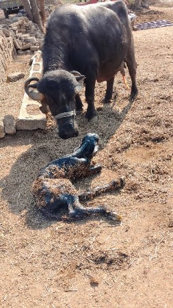 थंबनेल 3