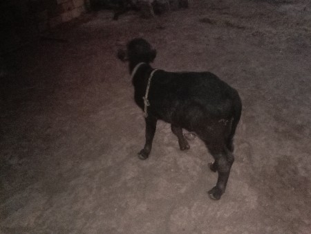 थंबनेल 3