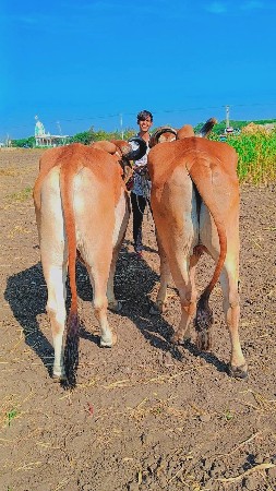 थंबनेल 2