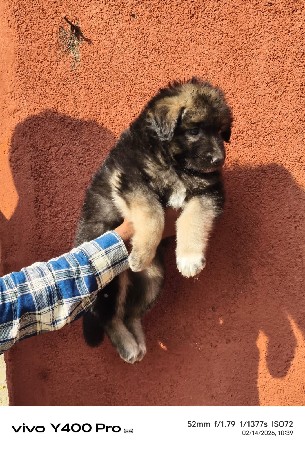 થંબનેલ 3