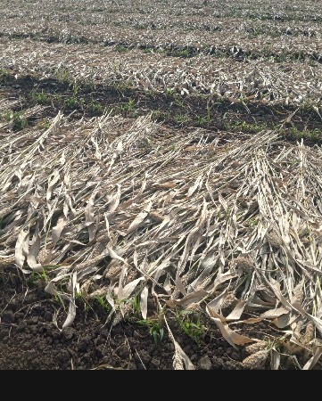 ગોજિયા સાગર અરજણ ભાઈ 
6351390510