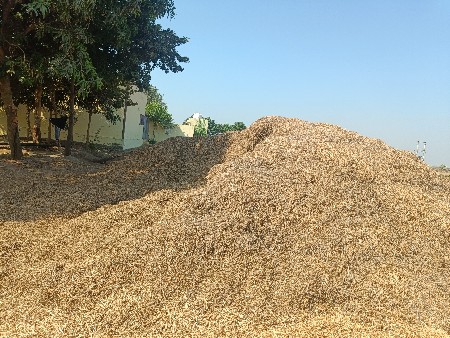 ભૂકો વેચવા નો છે.