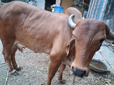 थंबनेल 3