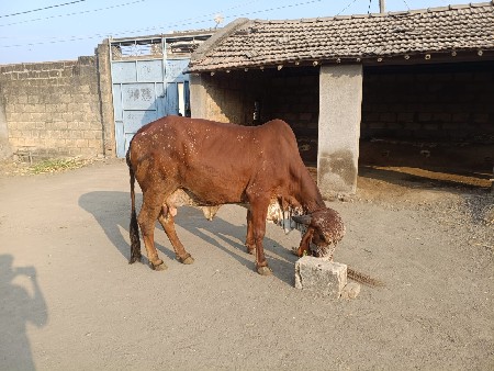 थंबनेल 3