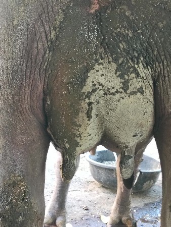 थंबनेल 3