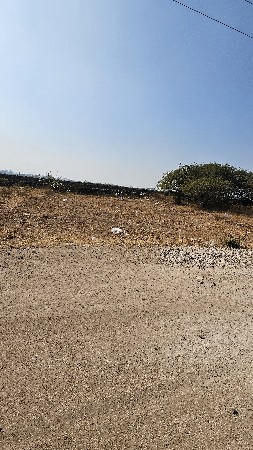 થંબનેલ 2