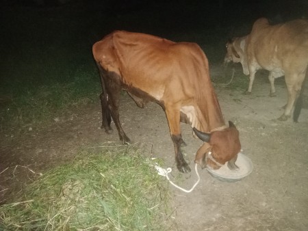 थंबनेल 3