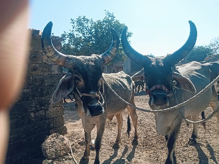 थंबनेल 2