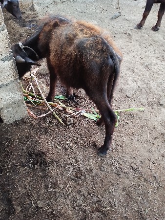 96 6 21 0 20 81 એમ જ ફોન કરવાનો