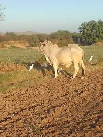 थंबनेल 2