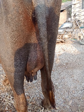 थंबनेल 3