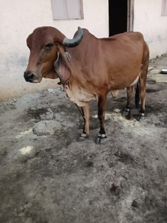 थंबनेल 2