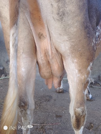 थंबनेल 2