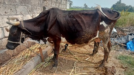 थंबनेल 2